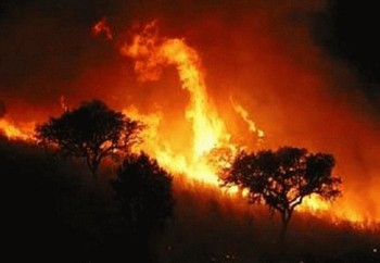 incendios-forestales