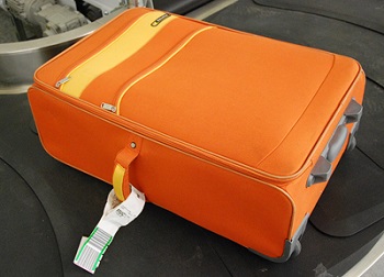 baggage-vision