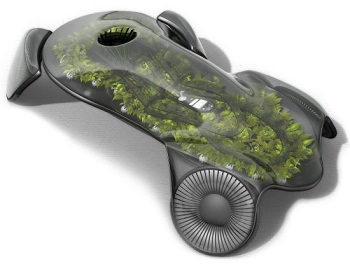 photosyntesis-car
