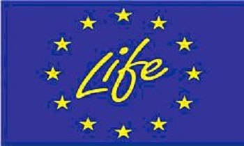life-domotic